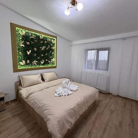 Casa Privata Airport Bucharest Therme Bucharest Balotesti Zewnętrze zdjęcie